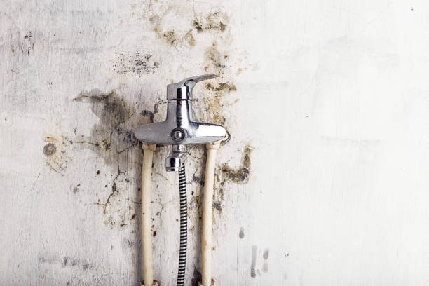 Best Post-Flood Mold Remediation in Woodway, TX