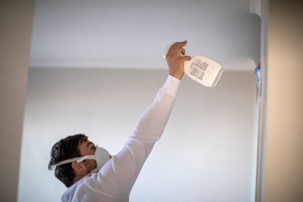 Best Basement Mold Remediation in Woodway, TX