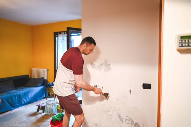 Best Preventive Mold Services in Woodway, TX